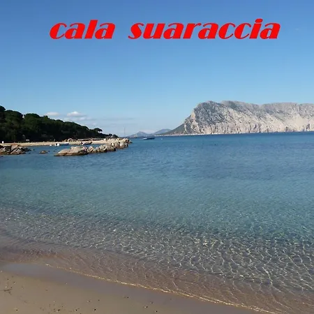 Willa Villa Capo Coda Cavallo *