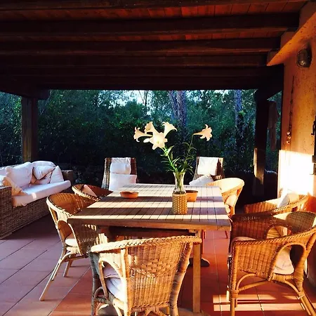 Villa Villa Capo Coda Cavallo Capo Coda Cavallo